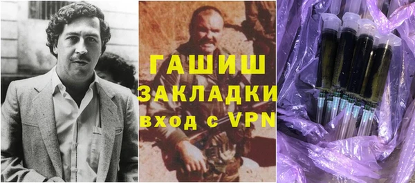 амф Снежногорск